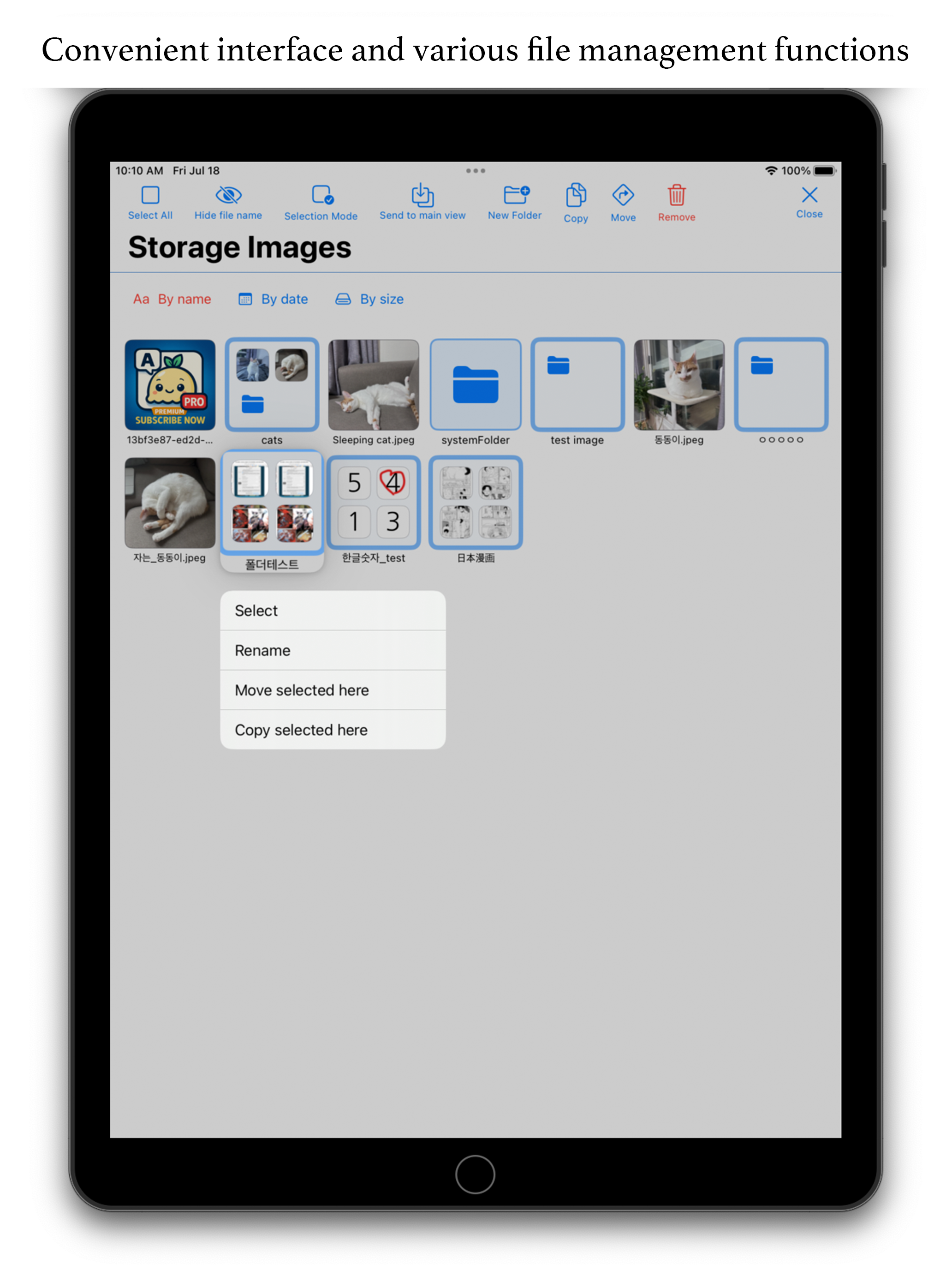 File Management Interface