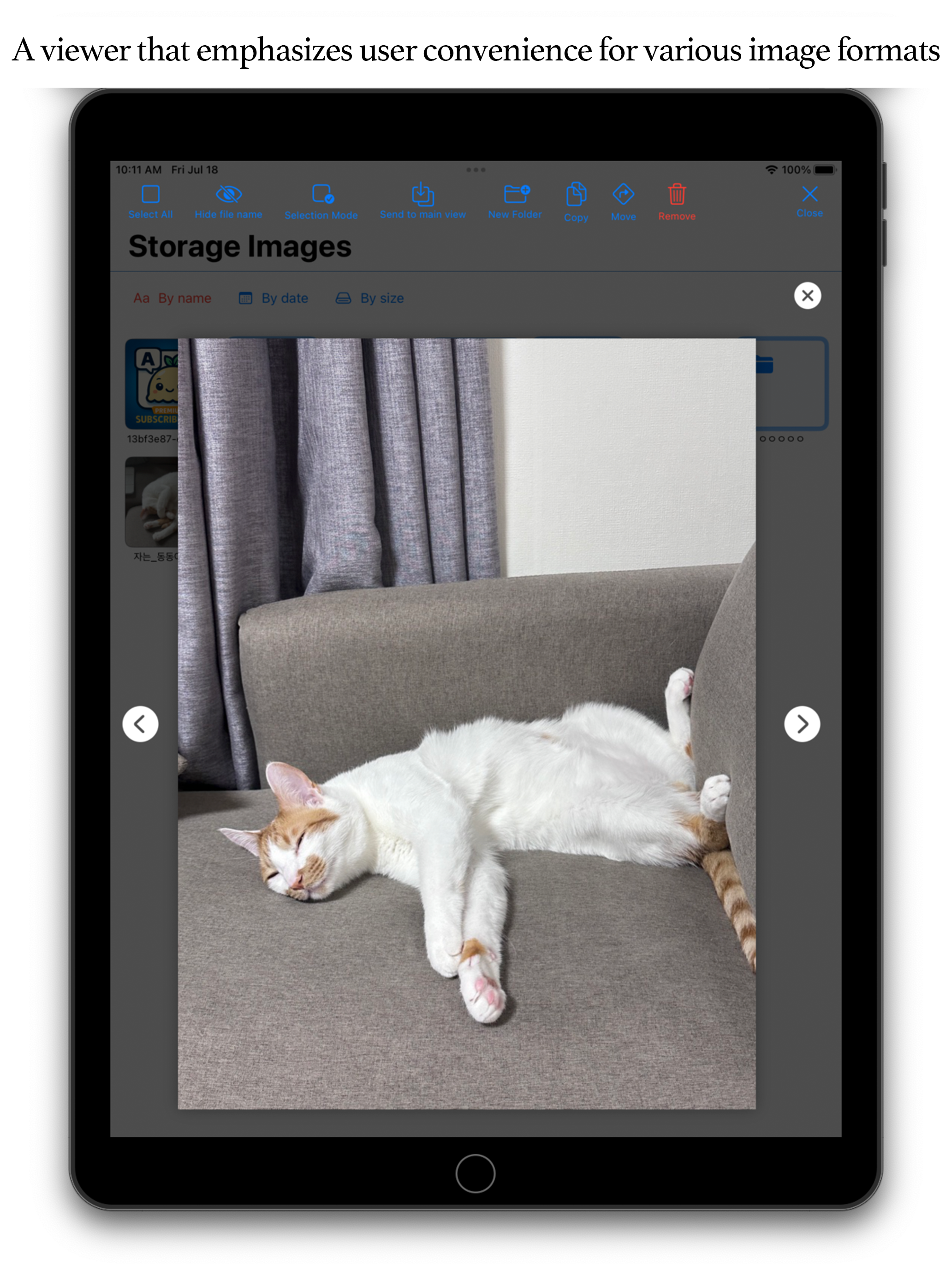 Image Viewer